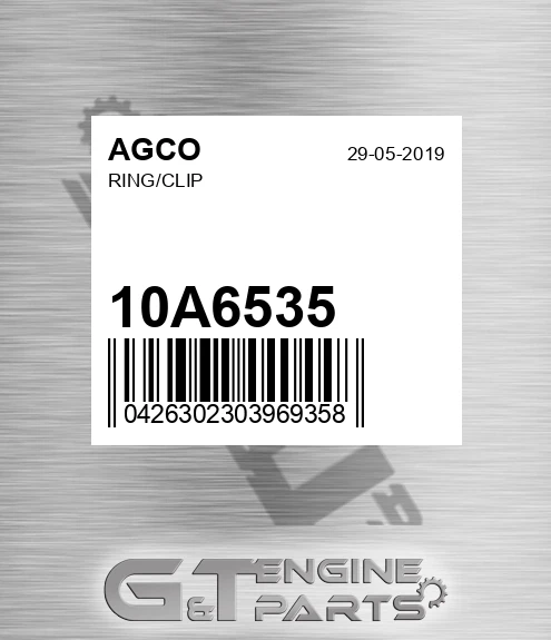 10A6535 AGCO Ring/clip