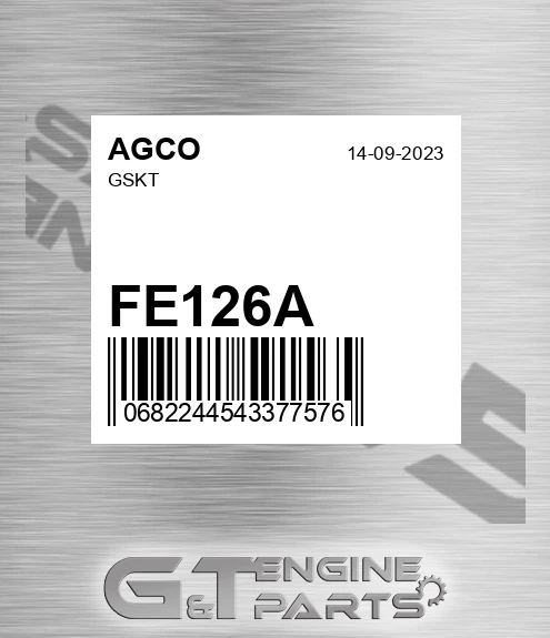 FE126A AGCO Gskt