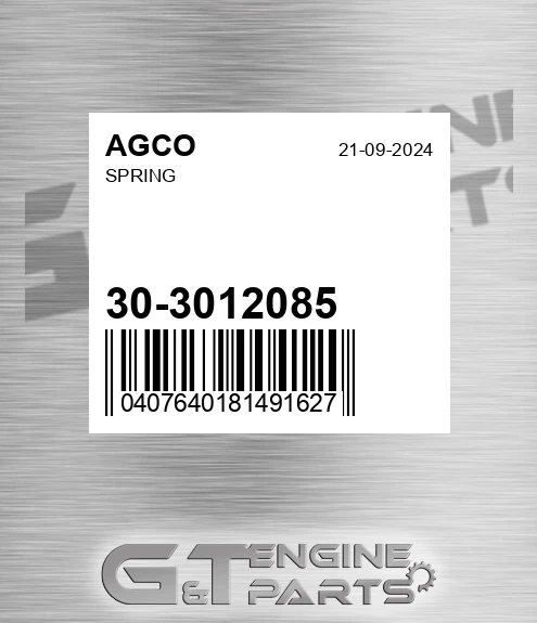 30-3012085 Spring for AGCO