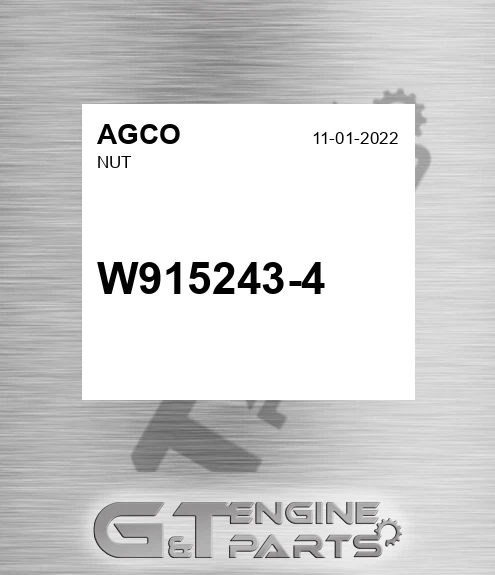 W915243-4 Nut for AGCO