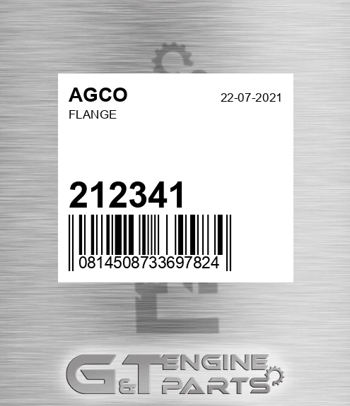 212341 AGCO Flange