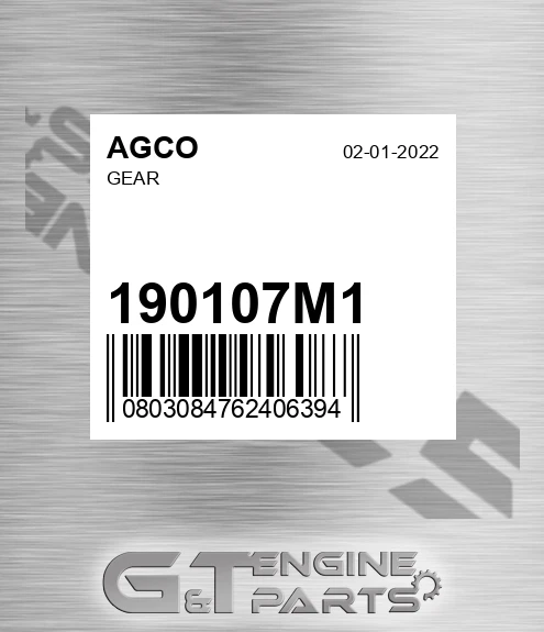190107M1 Gear for AGCO