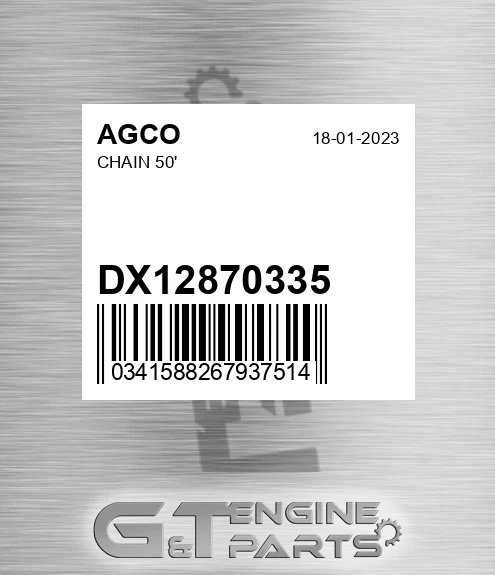 DX12870335 Chain 50'