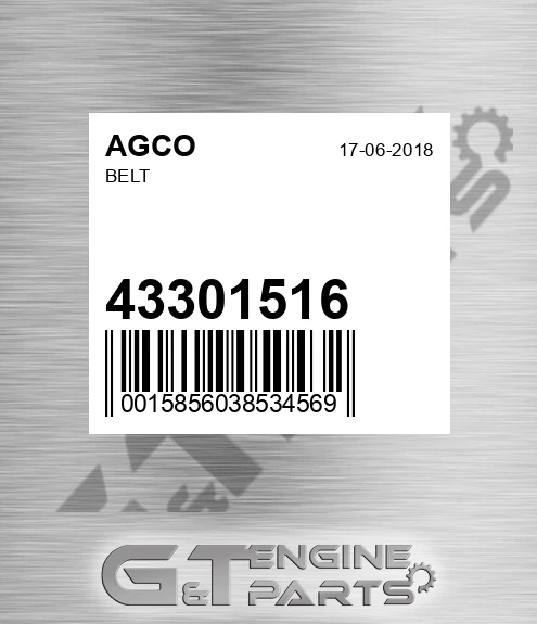 43301516 AGCO Belt
