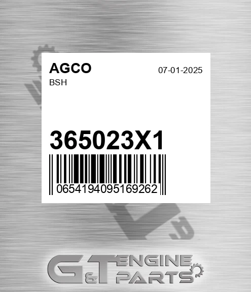 365023X1 AGCO Bsh