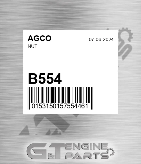 B554 AGCO Nut