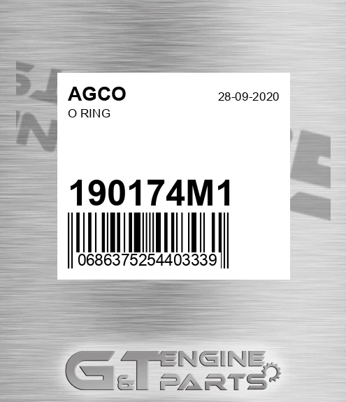 190174M1 O Ring for AGCO