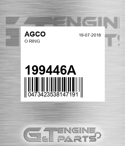 199446A O Ring for AGCO