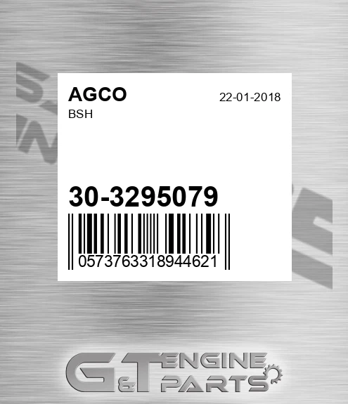 30-3295079 Bsh for AGCO