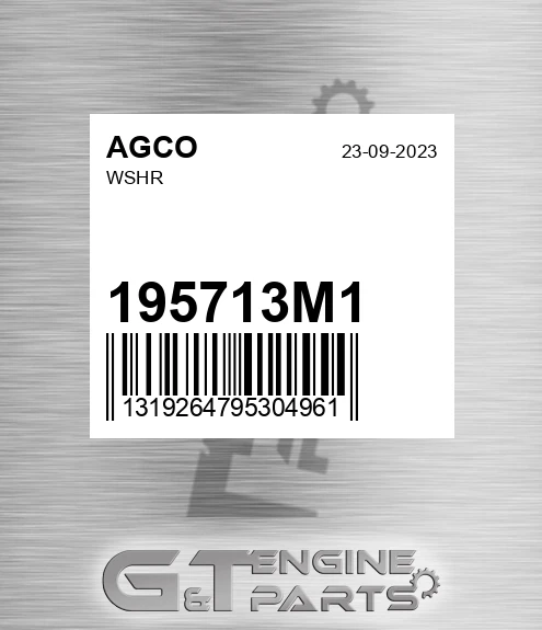 195713M1 Wshr for AGCO