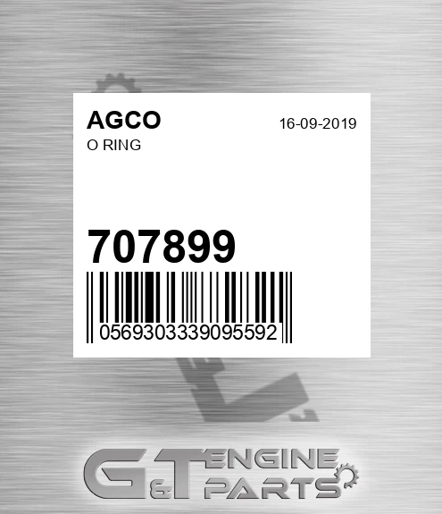 707899 AGCO O Ring