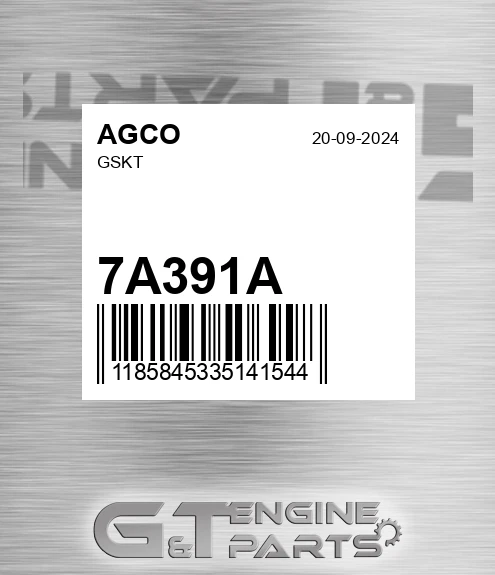 7A391A AGCO Gskt