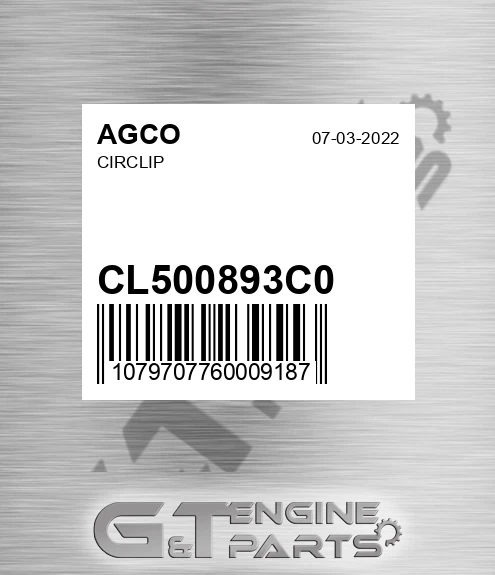CL500893C0 Circlip