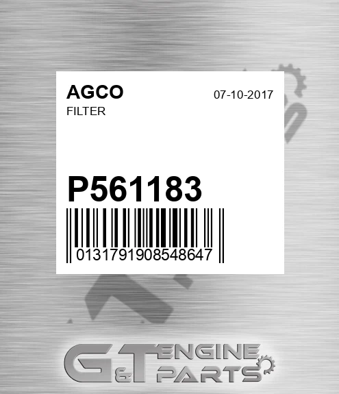 P561183 Filter for AGCO