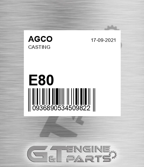 E80 Casting