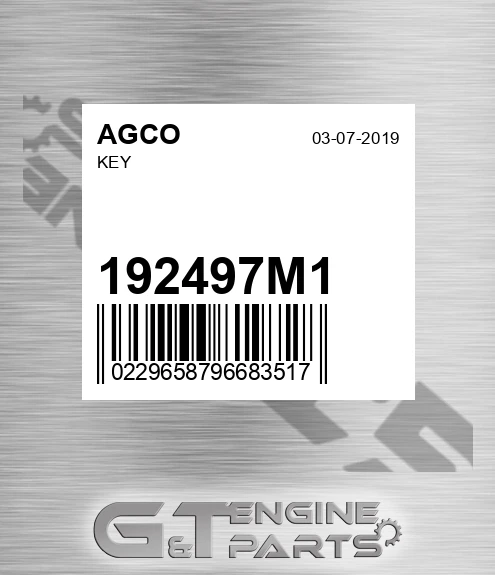 192497M1 Key for AGCO