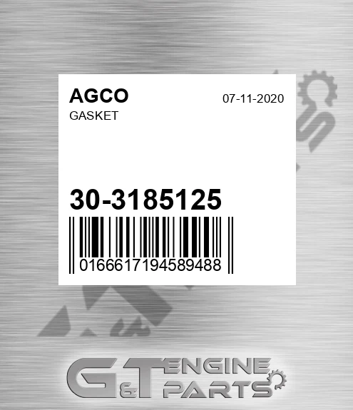 30-3185125 Gasket for AGCO