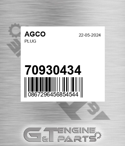 70930434 AGCO Plug