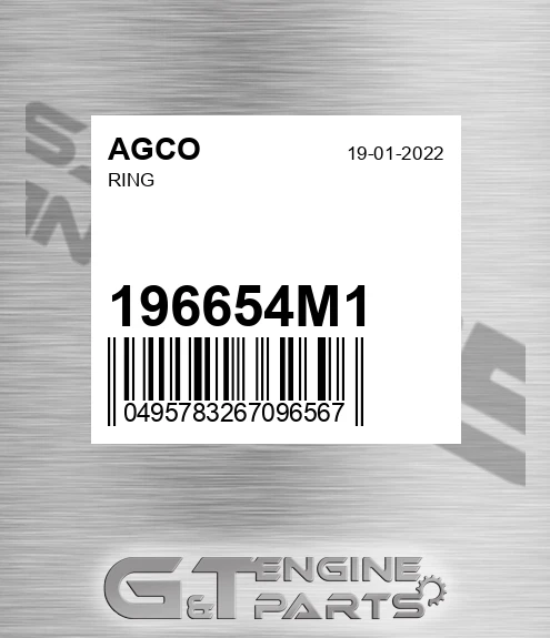 196654M1 Ring for AGCO