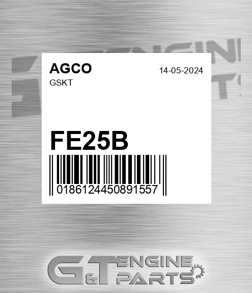 FE25B AGCO Gskt