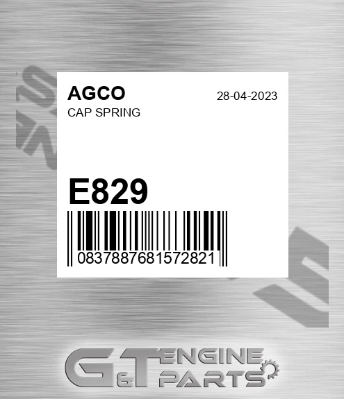 E829 Cap Spring