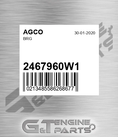 2467960W1 Brg