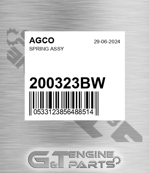 200323BW Spring Assy for AGCO