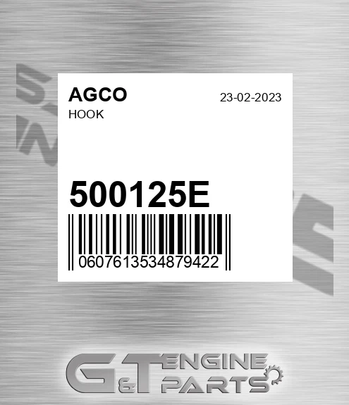 500125E AGCO Hook