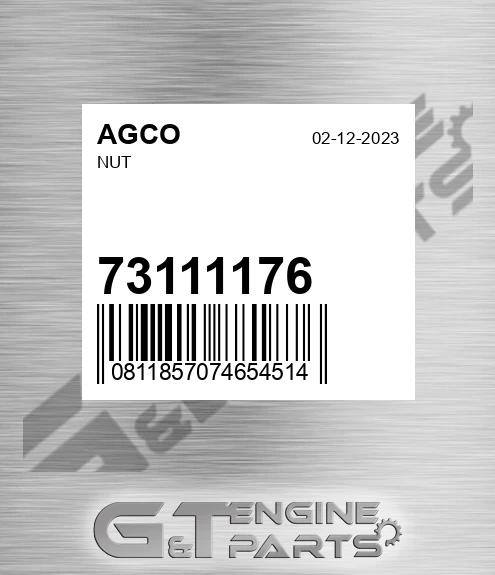73111176 Nut for AGCO