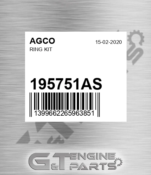 195751AS Ring Kit for AGCO