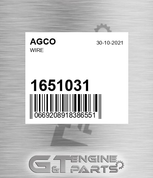 1651031 Wire for AGCO