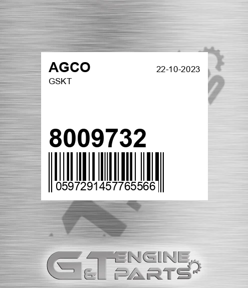 8009732 Gskt for AGCO