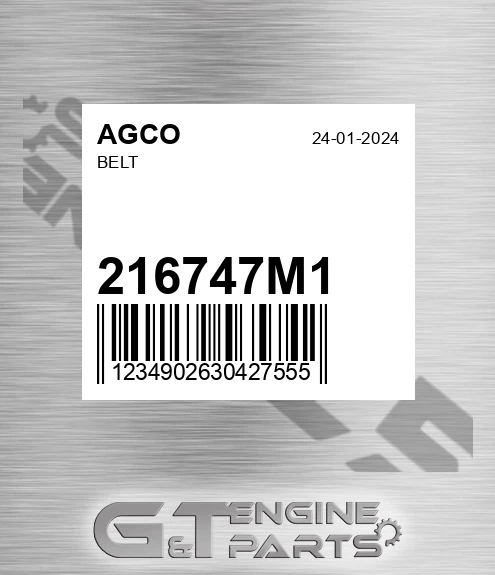 216747M1 Belt for AGCO