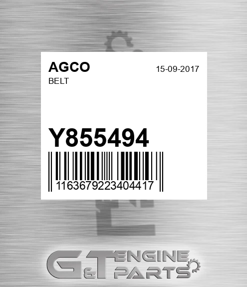 Y855494 Belt for AGCO