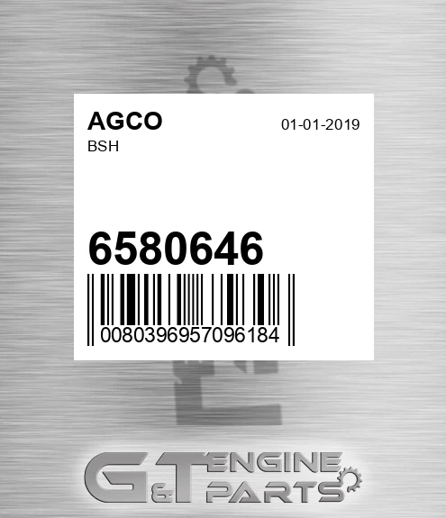6580646 Bsh