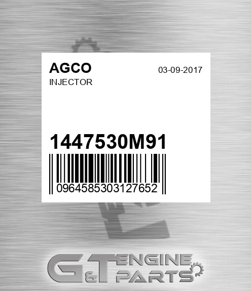 1447530M91 Injector for AGCO
