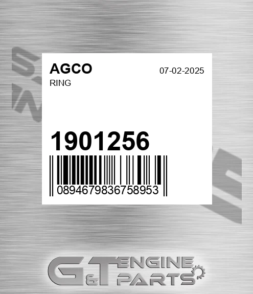 1901256 Ring for AGCO