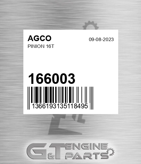 166003 Pinion 16t