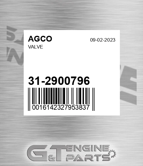 31-2900796 Valve for AGCO