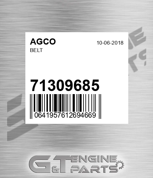 71309685 AGCO Belt