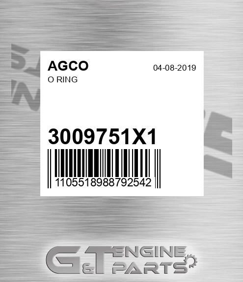 3009751X1 O Ring for AGCO