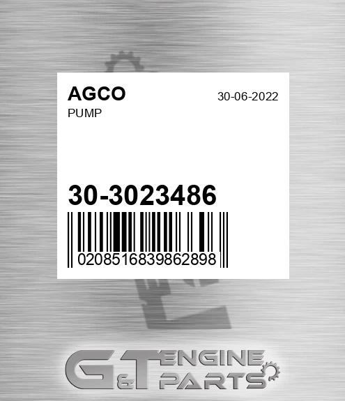 30-3023486 Pump for AGCO