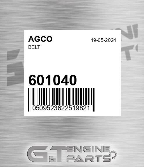 601040 Belt