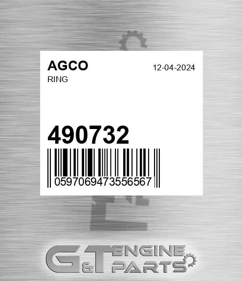 490732 Ring