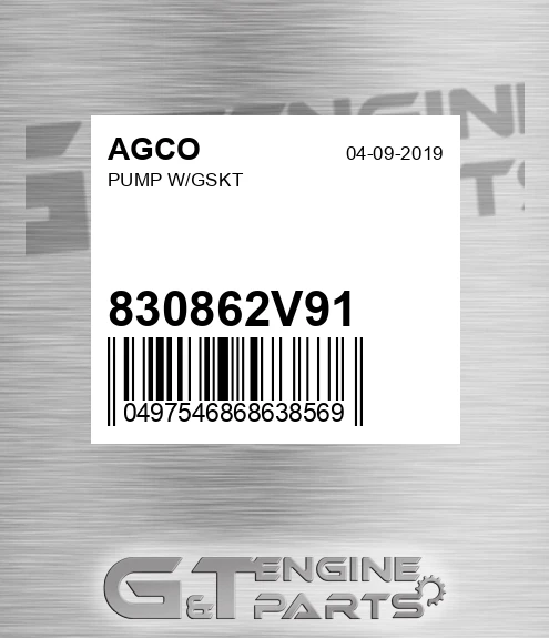 830862V91 AGCO Pump W/gskt