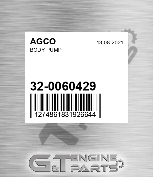 32-0060429 Body Pump for AGCO
