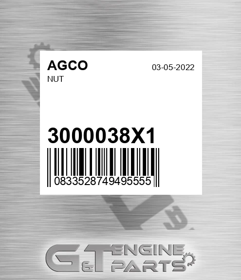 3000038X1 AGCO Nut