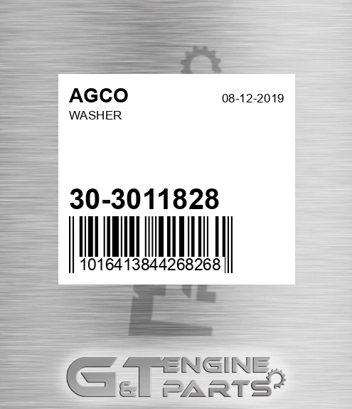 30-3011828 Washer
