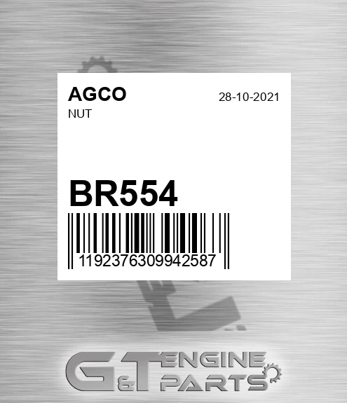 BR554 Nut