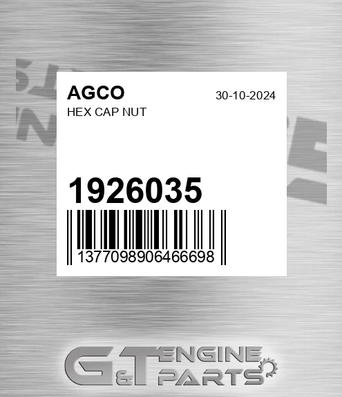 1926035 Hex Cap Nut for AGCO